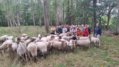 img-0386