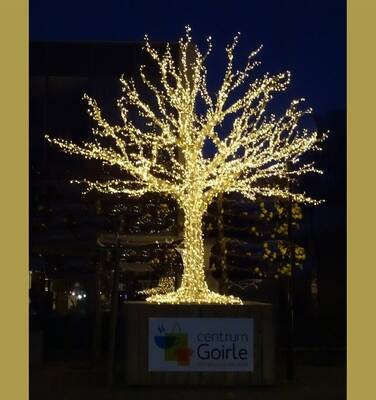 kerstboom-gemeente-goirle 2